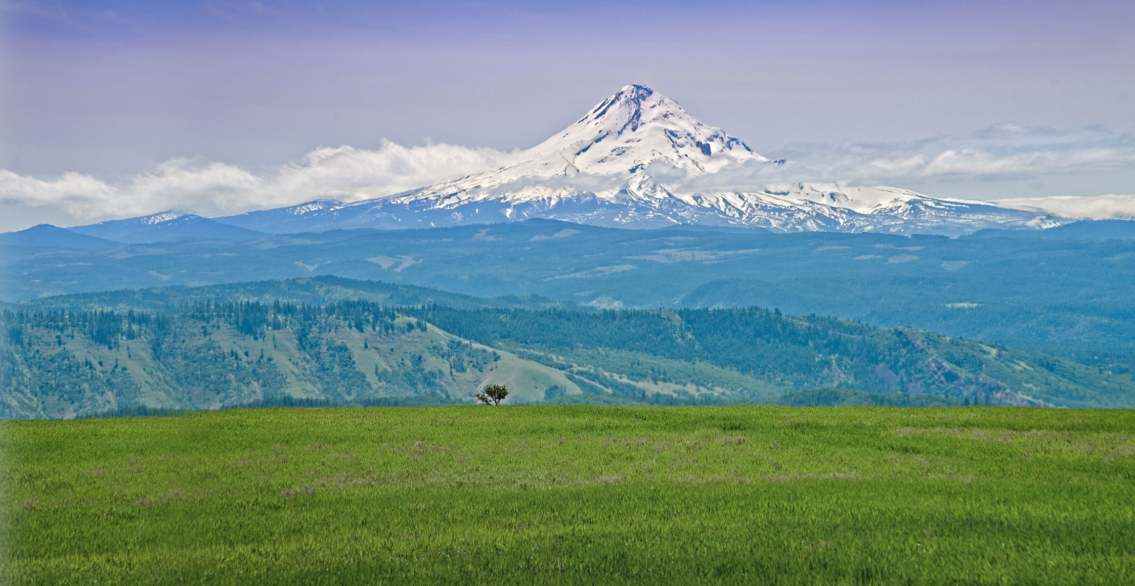 Mt. Hood landscape